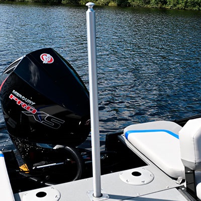 Optional removable ski pylon