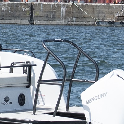 Optional black stainless steel waterski tow bar