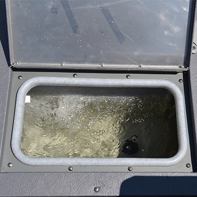 Bow electric-filled aerated livewell (61 L / 16 U.S. gal.)