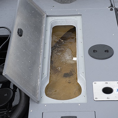 Vivier électrique oxygéné, de 77 L/20 gal. U.S., à l'arrière